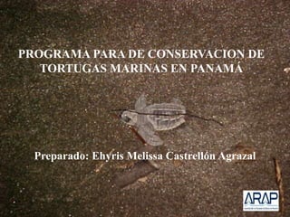 PROGRAMA PARA DE CONSERVACION DE
TORTUGAS MARINAS EN PANAMÁ
Preparado: Ehyris Melissa Castrellón Agrazal
 