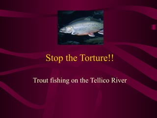 Stop the Torture!! Trout fishing on the Tellico River 