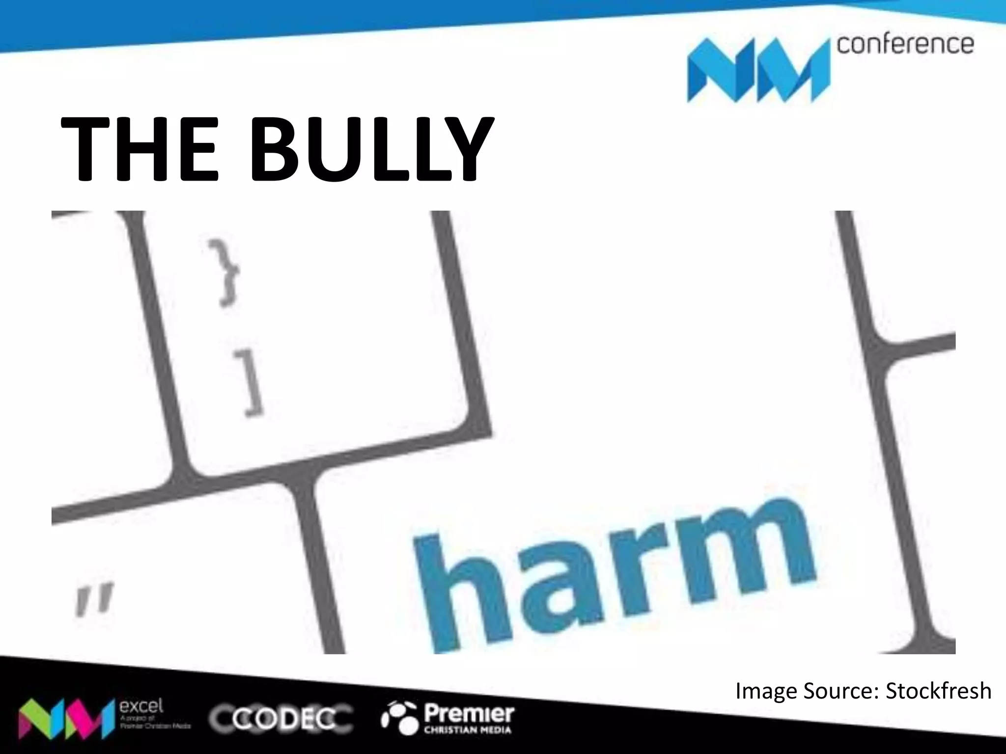 THE BULLY

Image Source: Stockfresh

 