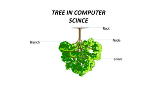 TREE IN COMPUTER
SCINCE
Root
Node
Leave
Branch
 