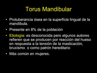 Torus Mandibular
• Protuberancia ósea en la superficie lingual de la
  mandíbula.
• Presente en 8% de la población
• Etiología: es desconocida pero algunos autores
  refieren que se producen por reacción del hueso
  en respuesta a la tensión de la masticación,
  bruxísmo o como patrón hereditario
• Más común en mujeres.
 