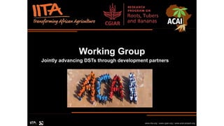 Working Group
www.iita.org | www.cgiar.org | www.acai-project.org
Jointly advancing DSTs through development partners
 