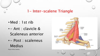 1- Inter-scalene Triangle
•Med : 1st rib
•- Ant : clavicle &
Scaleneus anterior
•- Post : scaleneus
Medius
3/18/2018Physio-Ortho meeting
 