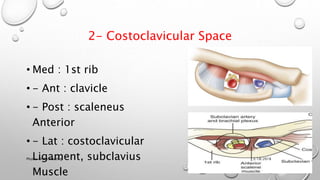 2- Costoclavicular Space
• Med : 1st rib
• - Ant : clavicle
• - Post : scaleneus
Anterior
• - Lat : costoclavicular
Ligament, subclavius
Muscle
3/18/2018Physio-Ortho meeting
 