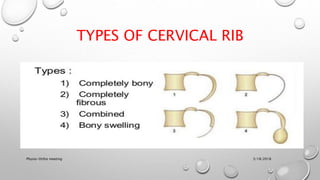 TYPES OF CERVICAL RIB
3/18/2018Physio-Ortho meeting
 