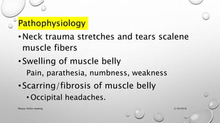 Pathophysiology
•Neck trauma stretches and tears scalene
muscle fibers
•Swelling of muscle belly
Pain, parathesia, numbness, weakness
•Scarring/fibrosis of muscle belly
• Occipital headaches.
3/18/2018Physio-Ortho meeting
 