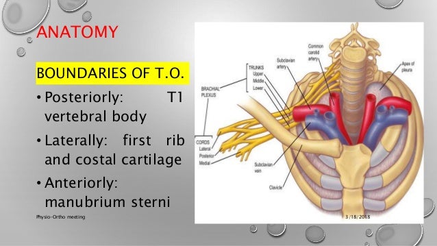 Anatomy Of Thoracic Outlet Syndrome Thoracic Outlet Syndrome
