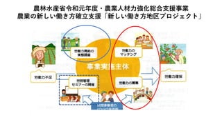 農林水産省令和元年度・農業人材力強化総合支援事業
農業の新しい働き方確立支援「新しい働き方地区プロジェクト」
 