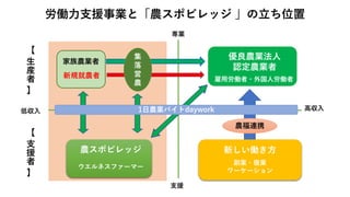 農福連携
低収入
専業
支援
新しい働き方
副業・複業
ワーケーション
雇用労働者・外国人労働者
高収入
集
落
営
農
新規就農者
優良農業法人
認定農業者
【
生
産
者
】
【
支
援
者
】
家族農業者
農スポビレッジ
ウエルネスファーマー
労働力支援事業と「農スポビレッジ 」の立ち位置
1日農業バイトdaywork
 