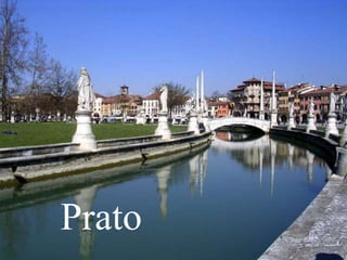 Prato
 