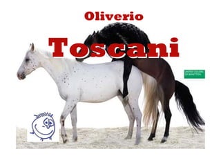 Oliverio

Toscani