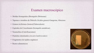Examen macroscópico
• Moldes bronquiales (Bronquitis fibrinosas)
• Tapones o trombos de Dittrich (Ácidos grasos) Gangrena, Abscesos
• Granos riciformes (lentes)(Tuberculosis)
• Espirales de Cruschmann (bronquitis asmáticas)
• Neumolitos (Calcificaciones)
• Parásitos intestinales (Ascaris lumbricoides)
• Fragmentos de tejidos orgánicos
• Restos alimenticios
 