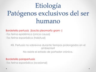 Etiología
Patógenos exclusivos del ser
humano
Bordetella pertussis (bacilo pleomorfo gram -)
-Tos ferina epidémica (única causa)
-Tos ferina esporádica (habitual)
#B. Pertussis no sobrevive durante tiempos prolongados en el
ambiente#
No existe el estado de portador crónico.
Bordetella parapertussis
-Tos ferina esporádica (ocasional)
 