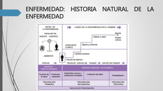 ENFERMEDAD: HISTORIA NATURAL DE LA
ENFERMEDAD
 