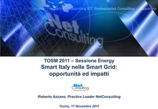 TOSM 2011 – Sessione Energy
 Smart Italy nelle Smart Grid:
   opportunità ed impatti


Roberto Azzano, Practice Leader NetConsulting

           Torino, 17 Novembre 2011
 