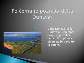 Delta Dunava (ušće
Dunava u Crno more)
druga je po veličini
delta u Europi koja
plijeni pažnju svojom
ljepotom.
 