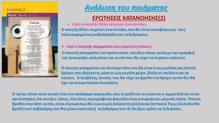 Ανάλυση του ποιήματος
ΕΡΩΤΗΣΕΙΣ ΚΑΤΑΝΟΗΣΗΣ(2)
 Γιατί ο ποιητής θέλεινα χτίσειένα σπιτάκι;
Ο ποιητήςθέλει ναχτίσειένασπιτάκι,πουθα είναικαταφύγιογια τους
ταλαιπωρημένουςκαβαλάρηδεςκαι πεζοδρόμους.
 Γιατί ο ποιητής απορρίπτει τους πρώτουςτόπους;
Ο ποιητήςαπορρίπτειτον πρώτο τόπο, επειδήο τόπος αυτόςμε την ομορφιά
του ξεκουράζει απόμόνος του αυτόνπου θα τύχεινα περάσει απόεκεί.
Ο ποιητήςαπορρίπτει τον δεύτεροτόπο επειδήείναιέναςμεγάλοςκαιπλατύς
δρόμος που βρίσκεται μέσασεμίαμεγάληχώρα,δίπλα σεπαλάτιακαισε
κήπους. Ο διαβάτης,λοιπόν,που θα τύχεινα βρεθείστοδρόμο αυτόνδεν θα
έχεινα αντιμετωπίσειδυσκολίες.
Ο τρίτος τόπος κατά σειράείναιέναπρόσχαροακρογιάλι,πουτο χαϊδεύειτο κύμα καιη αμμουδιάτου είναι
κρινόσπαρτη.Και αυτόςο τόπος, έτσιόπως περιγράφεταιφαντάζειέναςονειρικόςκαι μαγικόςτόπος. Όποιος
βρεθείστοντόπο αυτόν,είναισίγουροπωςθα νιώσειμίααπέραντηγαλήνηκαιζεστασιά.Όμωςδύσκολαθα
βρεθείεκείκαβαλάρηςπου θα μείνεινηστικόςή πεζοδρόμος που δε θα βρειτρόπο να ξεδιψάσει.
 
