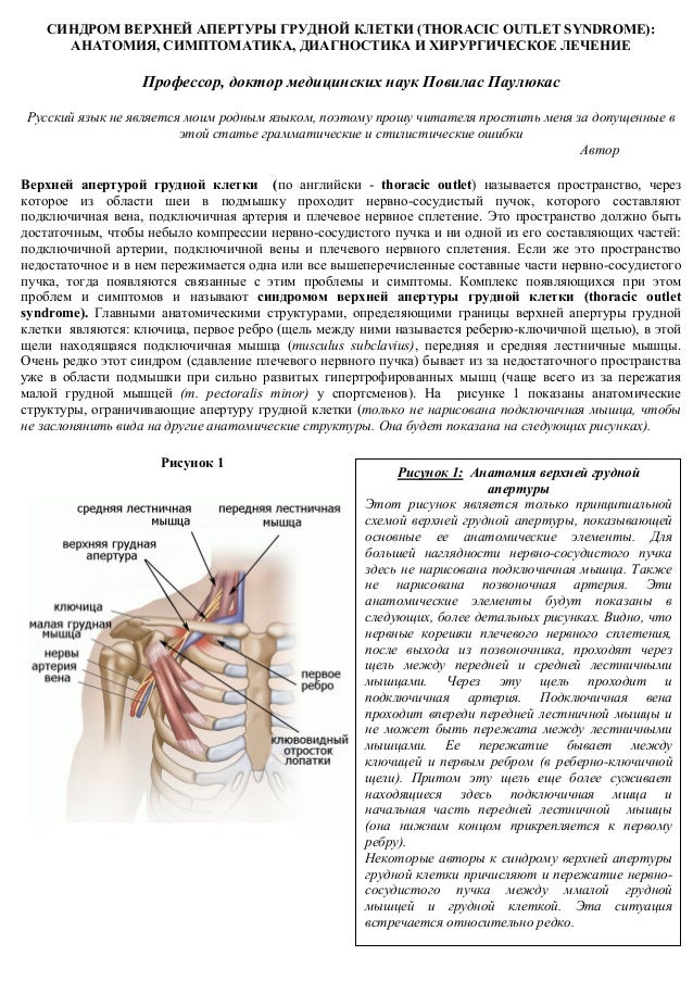 ebook цивилизации древней европы