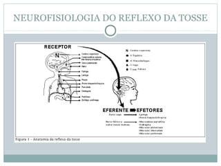 NEUROFISIOLOGIA DO REFLEXO DA TOSSE
 