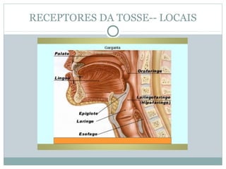 RECEPTORES DA TOSSE-- LOCAIS
 