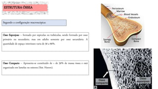 Osso Compacto – Apresenta-se constituído de + de 30% de massa óssea e está
organizado em lamelas ou osteons (Sist. Havers).
ESTRUTURA ÓSSEA
Segundo a configuração macroscópica:
Osso Esponjoso – formado por espículas ou trabéculas, sendo formado por osso
primário ou secundário, mas em adulto somente por osso secundário. A
quantidade de espaço interósseo varia de 30 a 90%.
 