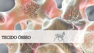 TECIDO ÓSSEO
 