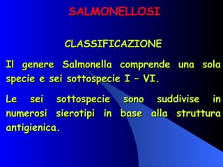SALMONELLOSI CLASSIFICAZIONE Il genere Salmonella comprende una sola specie e sei sottospecie I – VI. Le sei sottospecie sono suddivise in numerosi sierotipi in base alla struttura antigienica. 