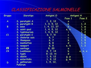 CLASSIFICAZIONE SALMONELLE   Gruppo   Sierotipo   Antigeni O   Antigeni H Fase 1 Fase 2 A S. paratyphi A 1, 2, 12 a -   B S. paratyphi B 1, 4, 5, 12 b 1, 2 S. wien 1, 4, 12, 27 b 1, w S. saint-paul 1, 4, 5, 12 e, h 1, 2 S. typhimurium 1, 4, 5, 12 i 1, 2 C1 S. paratyphi C 6, 7, Vi c 1, 5   S. cholerae suis 6, 7 c 1, 5   S. thompson 6, 7 k 1, 5   C2 S. manhattan 6, 8 d 1, 5 S. newport 6, 8 e, h 1, 2 C3 S. santiago 8, 20 a - C4 S. Lookleaze 6, 7, 14 b e, n, x     D     S. typhi 9, 12, Vi d - S. dublin 1, 9, 12 g, p - S. enteritidis 1, 9, 12 g, m - S. gallinorum-Pullorum 1, 9, 12,   - - 