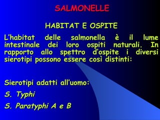 SALMONELLE HABITAT E OSPITE L’habitat delle salmonella è il lume intestinale dei loro ospiti naturali. In rapporto allo spettro d’ospite i diversi sierotipi possono essere così distinti:   Sierotipi adatti all’uomo: S. Typhi S. Paratyphi A e B   