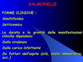 SALMONELLE FORME CLINICHE : Similtifoidea Setticemica   La durata e la gravità delle manifestazioni cliniche dipendono: Dalla virulenza Dalla carica infettante Da fattori dell’ospite (età, stato immunitario, ecc.) 