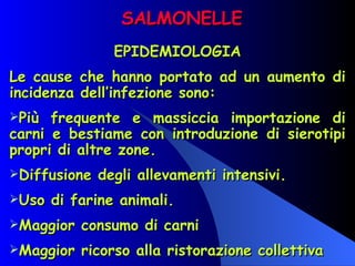 SALMONELLE EPIDEMIOLOGIA Le cause che hanno portato ad un aumento di incidenza dell’infezione sono: Più frequente e massiccia importazione di carni e bestiame con introduzione di sierotipi propri di altre zone. Diffusione degli allevamenti intensivi. Uso di farine animali. Maggior consumo di carni Maggior ricorso alla ristorazione collettiva 