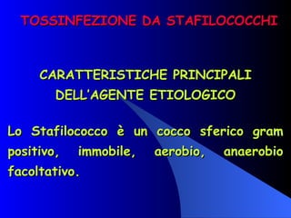 TOSSINFEZIONE DA STAFILOCOCCHI CARATTERISTICHE PRINCIPALI DELL’AGENTE ETIOLOGICO Lo Stafilococco è un cocco sferico gram positivo, immobile, aerobio, anaerobio facoltativo.   
