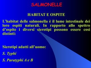 SALMONELLE HABITAT E OSPITE L’habitat delle salmonella è il lume intestinale dei loro ospiti naturali. In rapporto allo spettro d’ospite i diversi sierotipi possono essere così distinti:   Sierotipi adatti all’uomo: S. Typhi S. Paratyphi A e B   