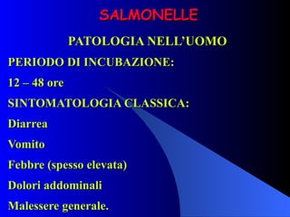 SALMONELLE PATOLOGIA NELL’UOMO PERIODO DI INCUBAZIONE: 12 – 48 ore SINTOMATOLOGIA CLASSICA: Diarrea Vomito Febbre (spesso elevata) Dolori addominali Malessere generale. 