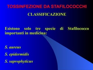 TOSSINFEZIONE DA STAFILOCOCCHI CLASSIFICAZIONE Esistono solo tre specie di Stafilococco importanti in medicina: S. aureus   S. epidermidis   S. saprophyticus   
