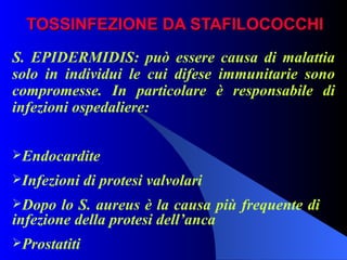 TOSSINFEZIONE DA STAFILOCOCCHI S. EPIDERMIDIS: può essere causa di malattia solo in individui le cui difese immunitarie sono compromesse. In particolare è responsabile di infezioni ospedaliere: Endocardite Infezioni di protesi valvolari Dopo lo S. aureus è la causa più frequente di  infezione della protesi dell’anca Prostatiti 