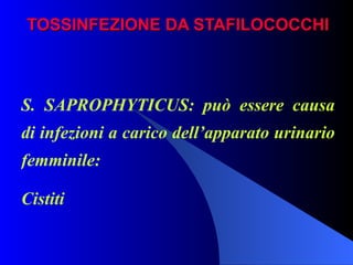 TOSSINFEZIONE DA STAFILOCOCCHI S. SAPROPHYTICUS: può essere causa di infezioni a carico dell’apparato urinario femminile: Cistiti 