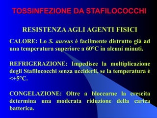 TOSSINFEZIONE DA STAFILOCOCCHI RESISTENZA AGLI AGENTI FISICI CALORE: Lo  S. aureus  è facilmente distrutto già ad una temperatura superiore a 60°C in alcuni minuti. REFRIGERAZIONE: Impedisce la moltiplicazione degli Stafilococchi senza ucciderli, se la temperatura è <+5°C.  CONGELAZIONE: Oltre a bloccarne la crescita determina una moderata riduzione della carica batterica. 