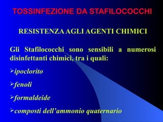 TOSSINFEZIONE DA STAFILOCOCCHI RESISTENZA AGLI AGENTI CHIMICI Gli Stafilococchi sono sensibili a numerosi disinfettanti chimici, tra i quali: ipoclorito fenoli formaldeide composti dell’ammonio quaternario 