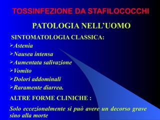 TOSSINFEZIONE DA STAFILOCOCCHI PATOLOGIA NELL’UOMO   SINTOMATOLOGIA CLASSICA: Astenia Nausea intensa Aumentata salivazione Vomito Dolori addominali Raramente diarrea. ALTRE FORME CLINICHE : Solo eccezionalmente si può avere un decorso grave  sino alla morte 