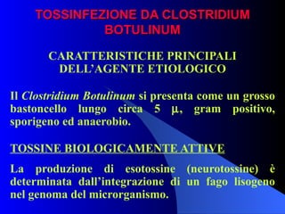 TOSSINFEZIONE DA CLOSTRIDIUM BOTULINUM CARATTERISTICHE PRINCIPALI DELL’AGENTE ETIOLOGICO Il  Clostridium Botulinum  si presenta come un grosso bastoncello lungo circa 5   , gram positivo, sporigeno ed anaerobio. TOSSINE BIOLOGICAMENTE ATTIVE La produzione di esotossine (neurotossine) è determinata dall’integrazione di un fago lisogeno nel genoma del microrganismo.  