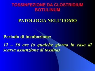 TOSSINFEZIONE DA CLOSTRIDIUM BOTULINUM PATOLOGIA NELL’UOMO   Periodo di incubazione: 12 – 36 ore (o qualche giorno in caso di scarsa assunzione di tossina)   
