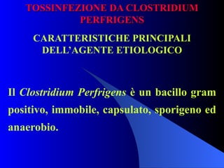 TOSSINFEZIONE DA CLOSTRIDIUM PERFRIGENS CARATTERISTICHE PRINCIPALI DELL’AGENTE ETIOLOGICO   Il  Clostridium Perfrigens  è un bacillo gram positivo, immobile, capsulato, sporigeno ed anaerobio. 