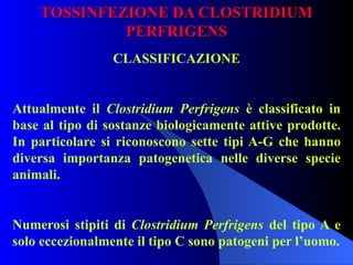 TOSSINFEZIONE DA CLOSTRIDIUM PERFRIGENS CLASSIFICAZIONE Attualmente il  Clostridium Perfrigens  è classificato in base al tipo di sostanze biologicamente attive prodotte. In particolare si riconoscono sette tipi A-G che hanno diversa importanza patogenetica nelle diverse specie animali.   Numerosi stipiti di  Clostridium Perfrigens  del tipo A e solo eccezionalmente il tipo C sono patogeni per l’uomo. 