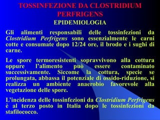 TOSSINFEZIONE DA CLOSTRIDIUM PERFRIGENS EPIDEMIOLOGIA Gli alimenti responsabili delle tossinfezioni da  Clostridium Perfrigens  sono essenzialmente le carni cotte e consumate dopo 12/24 ore, il brodo e i sughi di carne. Le spore termoresistenti sopravvivono alla cottura oppure l’alimento può essere contaminato successivamente. Siccome la cottura, specie se prolungata, abbassa il potenziale di ossido-riduzione, si realizza un ambiente anaerobio favorevole alla vegetazione delle spore. L’incidenza delle tossinfezioni da  Clostridium Perfrigens  è al terzo posto in Italia dopo le tossinfezioni da stafilococco. 