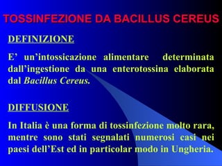 TOSSINFEZIONE DA BACILLUS CEREUS DEFINIZIONE E’ un’intossicazione alimentare  determinata dall’ingestione da una enterotossina elaborata dal  Bacillus Cereus.   DIFFUSIONE In Italia è una forma di tossinfezione molto rara, mentre sono stati segnalati numerosi casi nei paesi dell’Est ed in particolar modo in Ungheria. 