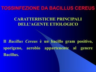 TOSSINFEZIONE DA BACILLUS CEREUS CARATTERISTICHE PRINCIPALI DELL’AGENTE ETIOLOGICO   Il  Bacillus Cereus  è un bacillo gram positivo, sporigeno, aerobio appartenente al genere Bacillus. 