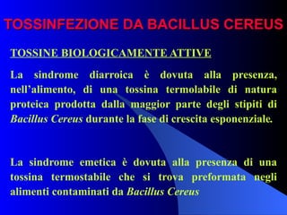 TOSSINFEZIONE DA BACILLUS CEREUS TOSSINE BIOLOGICAMENTE ATTIVE La sindrome diarroica è dovuta alla presenza, nell’alimento, di una tossina termolabile di natura proteica prodotta dalla maggior parte degli stipiti di  Bacillus Cereus  durante la fase di crescita esponenziale .    La sindrome emetica è dovuta alla presenza di una tossina termostabile che si trova preformata negli alimenti contaminati da  Bacillus Cereus   