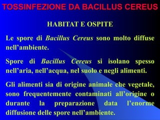 TOSSINFEZIONE DA BACILLUS CEREUS HABITAT E OSPITE Le spore di  Bacillus Cereus  sono molto diffuse nell’ambiente. Spore di  Bacillus Cereus  si isolano spesso nell’aria, nell’acqua, nel suolo e negli alimenti. Gli alimenti sia di origine animale che vegetale, sono frequentemente contaminati all’origine o durante la preparazione data l’enorme diffusione delle spore nell’ambiente. 