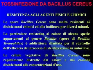 TOSSINFEZIONE DA BACILLUS CEREUS RESISTENZA AGLI AGENTI FISICI E CHIMICI Le spore  Bacillus Cereus  sono molto resistenti ai disinfettanti chimici ed alla bollitura per diversi minuti. La particolare resistenza al calore di alcune specie appartenenti al genere  Bacillus  (spore di  Bacillus Termophilus)  è addirittura sfruttata per il controllo dell’efficacia del processo di sterilizzazione in autoclave. Le cellule vegetative di  Bacillus Cereus  sono rapidamente distrutte dal calore e dai comuni disinfettanti alle concentrazioni d’uso.  